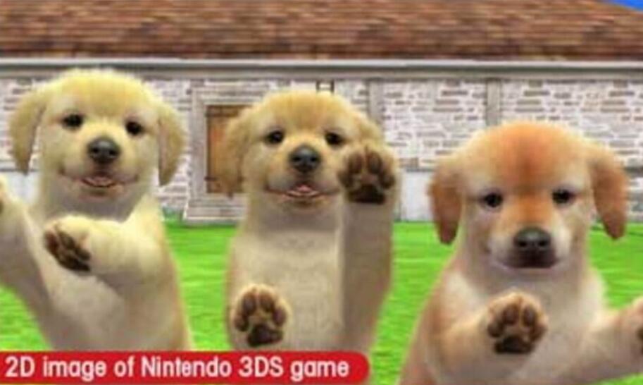 3DS《任天猫狗 玩具贵宾犬与新伙伴.Nintendogs + Cats – Toy Poodle & New Friends》中文版下载插图1